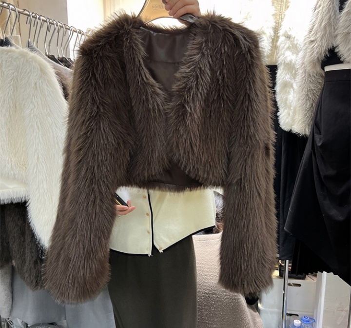 Faux fur autumn tops Korean style coat for women