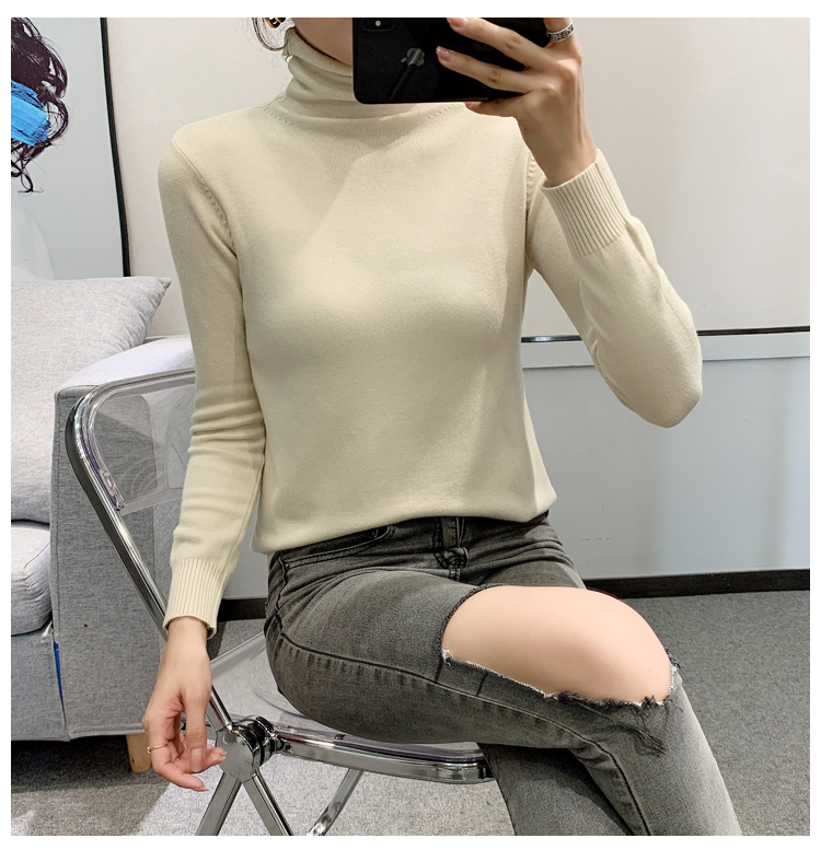Slim bottoming shirt autumn and winter sweater
