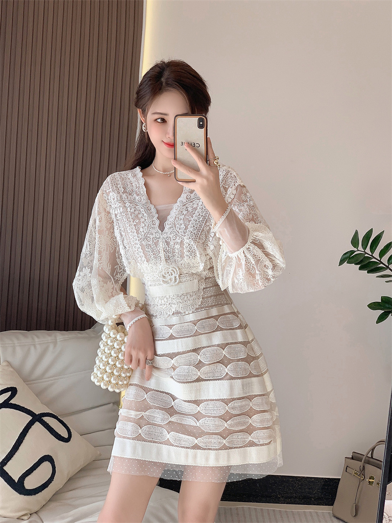 Embroidery lace long sleeve V-neck dress