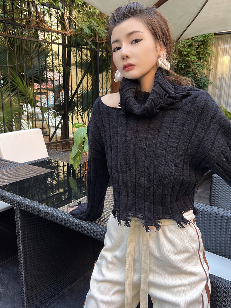 Short autumn and winter sweater high collar tops