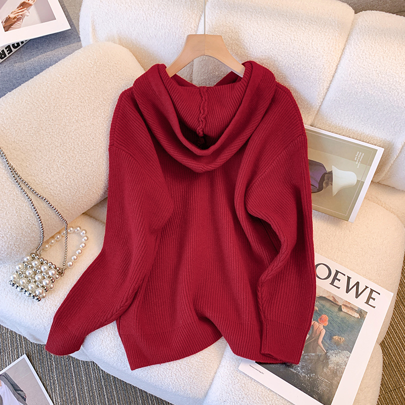 Hooded long sleeve autumn and winter sweater for women