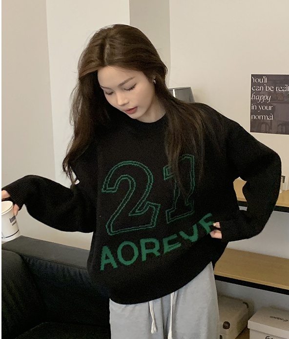 Digital thick Korean style autumn and winter sweater