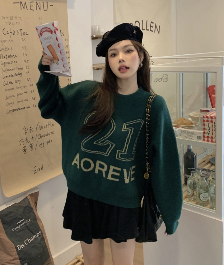 Digital thick Korean style autumn and winter sweater