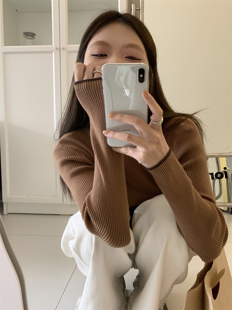 Bottoming autumn and winter tops all-match sweater