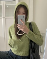 Autumn and winter hooded sweater slim loose tops for women