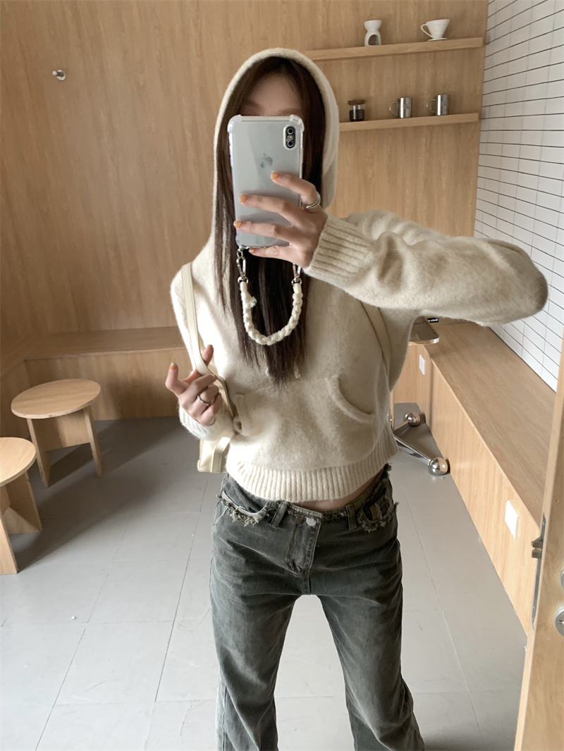 Autumn and winter hooded sweater slim loose tops for women