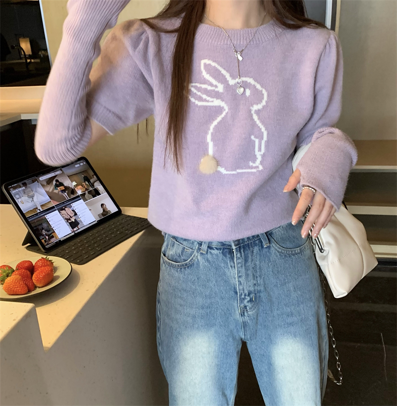 Spring inside the ride bottoming shirt knitted tops