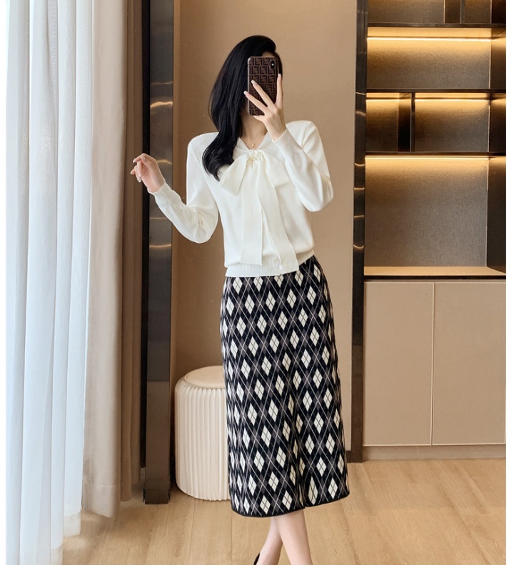 Slim Korean style skirt jacquard long skirt for women