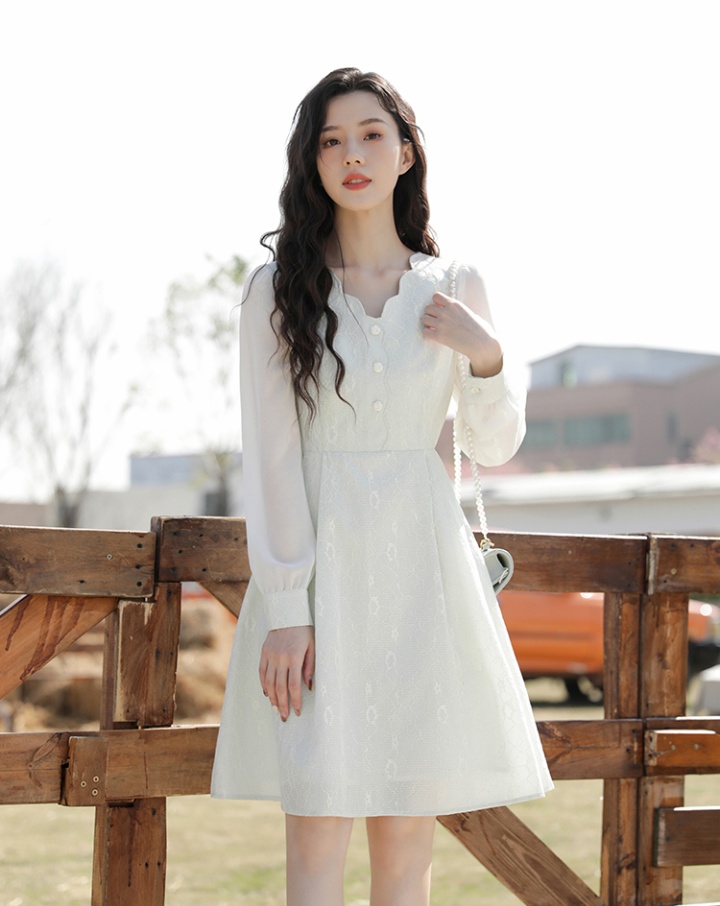 Lace lady spring and autumn V-neck autumn dress for women