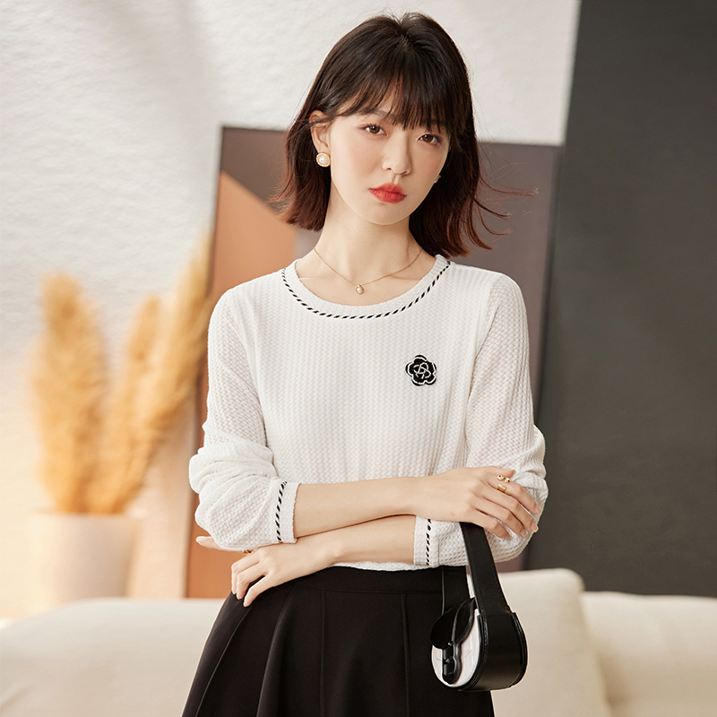 Round neck simple T-shirt spring long sleeve tops for women