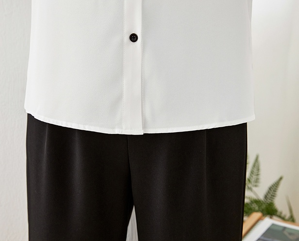 Chiffon spring tops slim all-match shirt for women