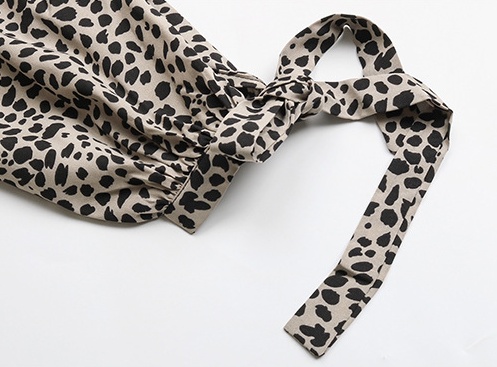 Spring European style leopard dress for women