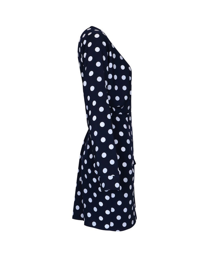 Long sleeve spring polka dot a slice dress for women