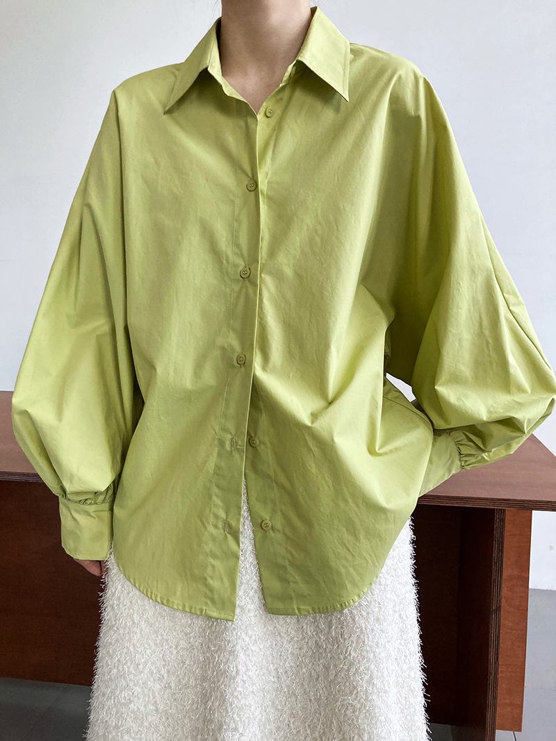 Lantern sleeve lazy shirt spring loose tops for women