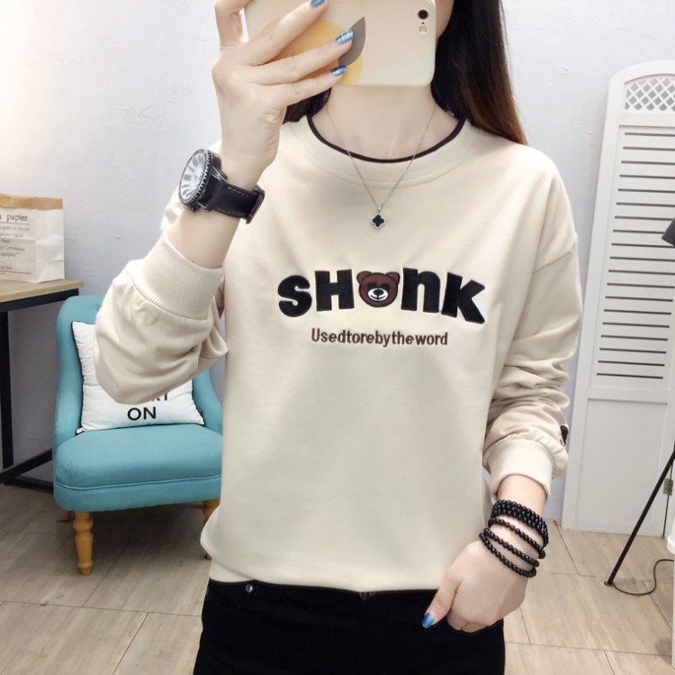 Pullover embroidered hoodie college style T-shirt for women