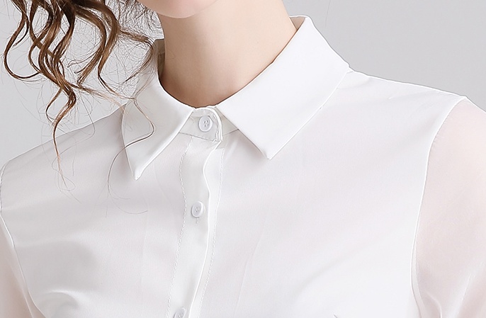 Embroidery fashion shirt lantern sleeve tops