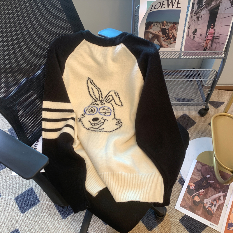 Jacquard raglan sleeve back rabbit sweater for women