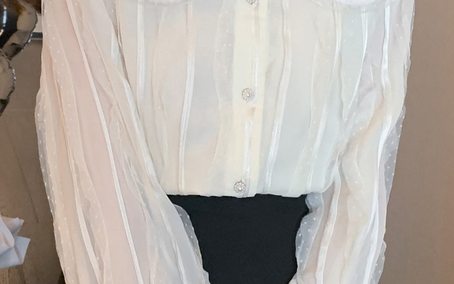 Long sleeve small shirt lace chiffon shirt for women