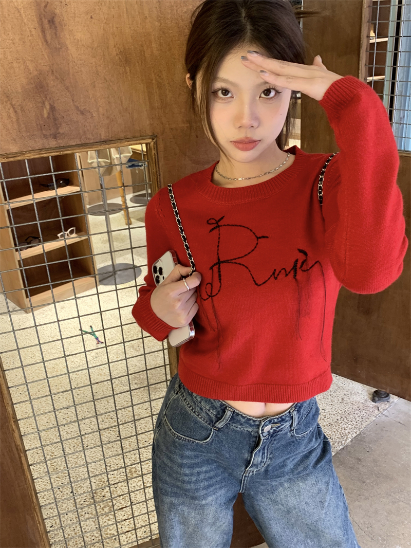Embroidery pullover short sweater for women