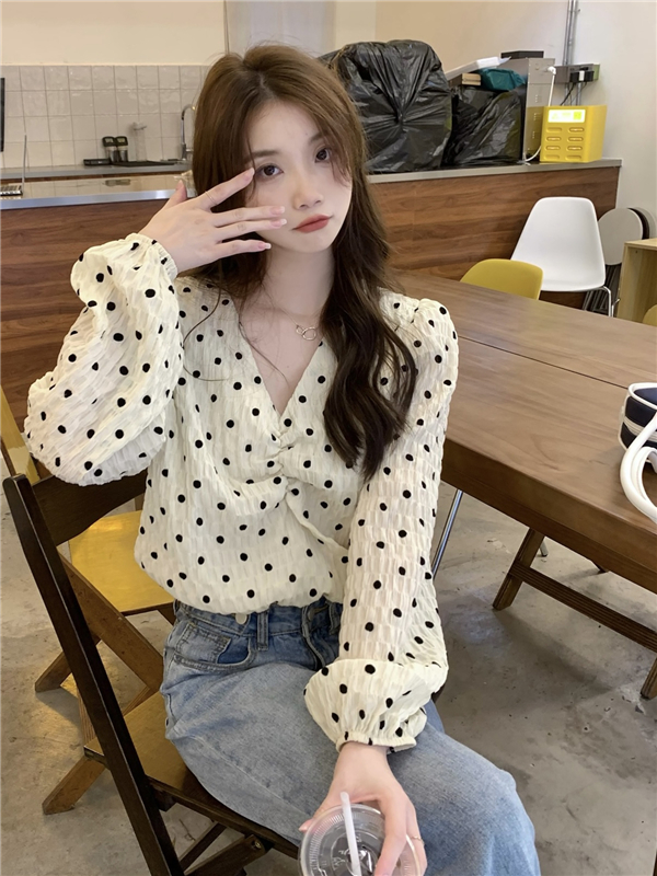 Short sweet tops polka dot retro shirt for women