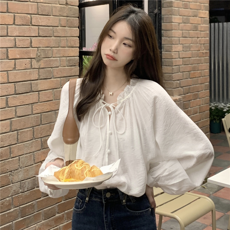 Korean style slim doll shirt lantern sleeve shirt for women