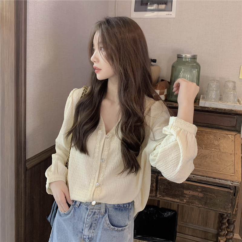 V-neck lace shirt simple Korean style tops for women