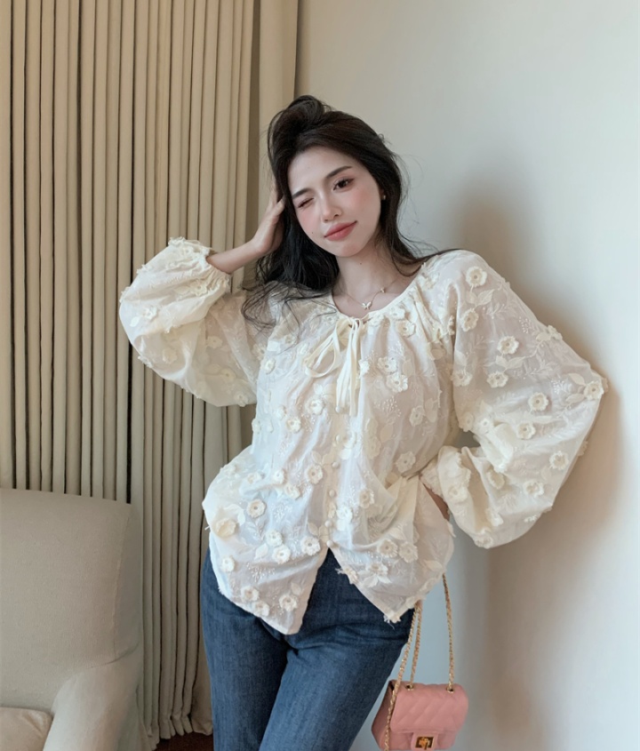 Embroidered stereoscopic shirt spring retro doll shirt