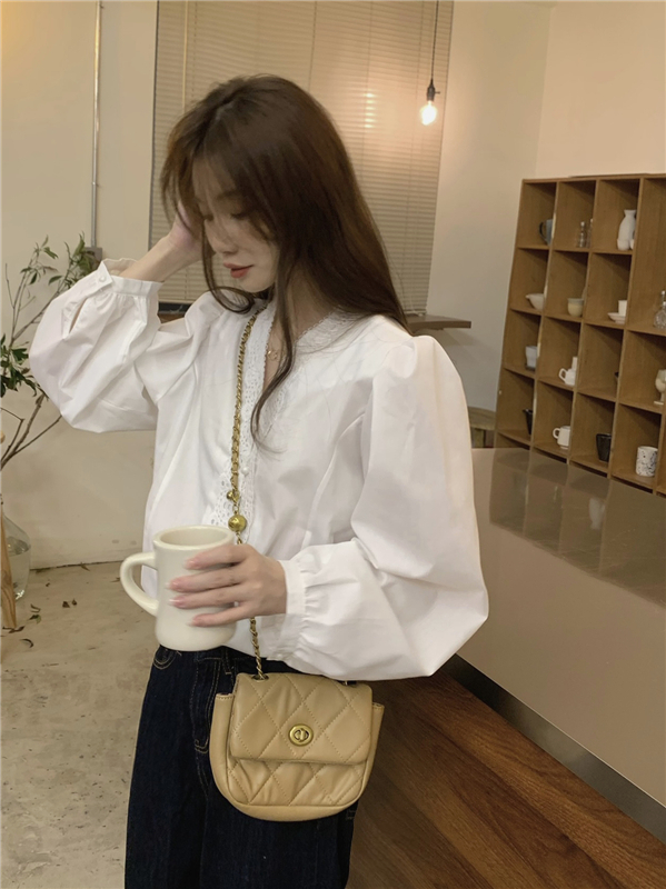 Korean style light shirt long sleeve lace tops for women