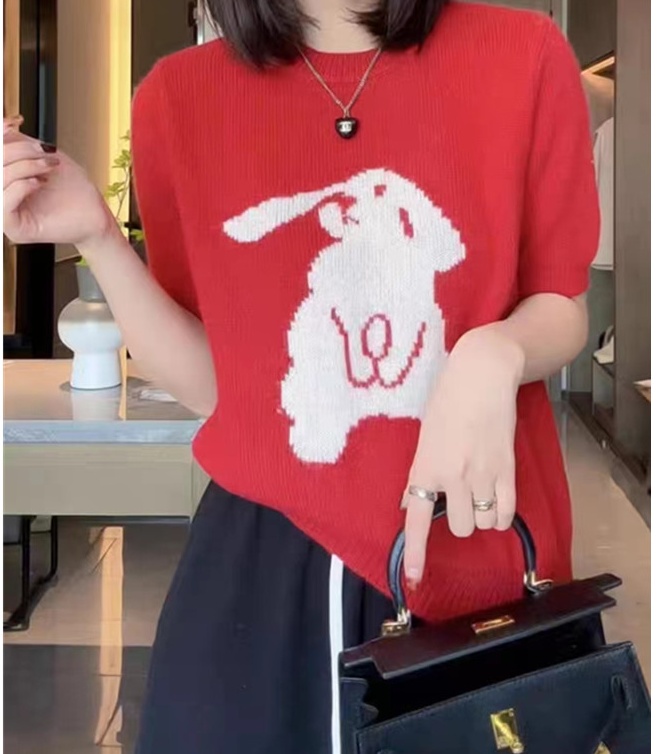 Rabbit pullover sweater spring loose tops for women