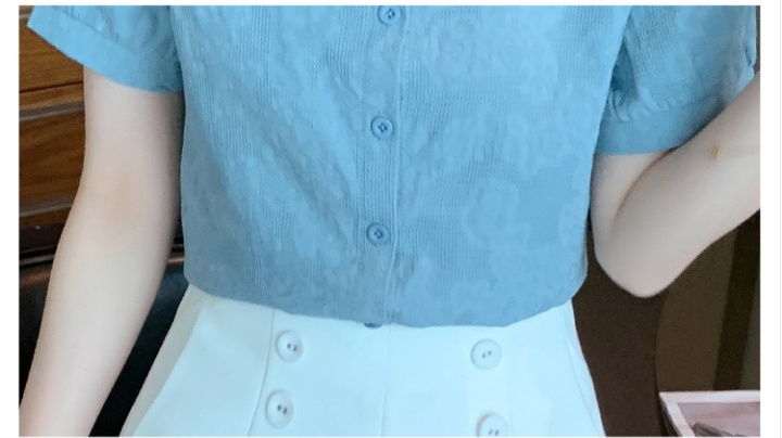 Shirt collar short sleeve small shirt lace shirt for women
