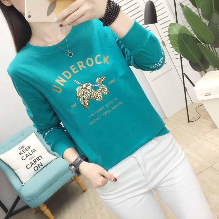 Korean style round neck T-shirt long sleeve hoodie for women