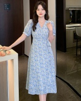 Refreshing long a slice summer pinched waist dress for women