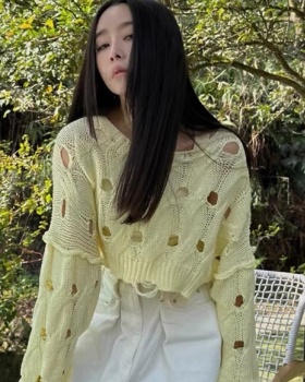Korean style Casual temperament tops short hollow sweater