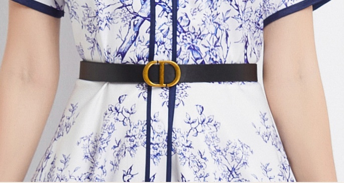 Short sleeve lapel printing pattern with belt dress