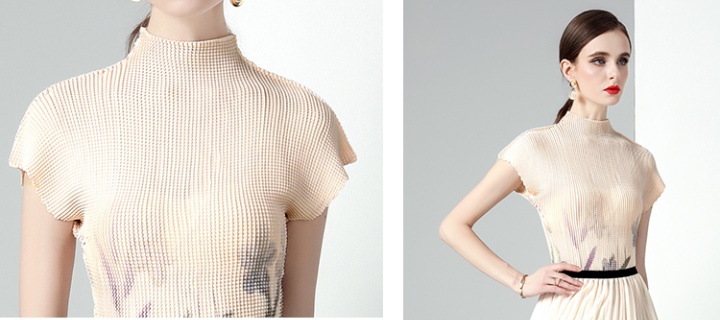 Printing pleated small shirt fashion skirt 2pcs set