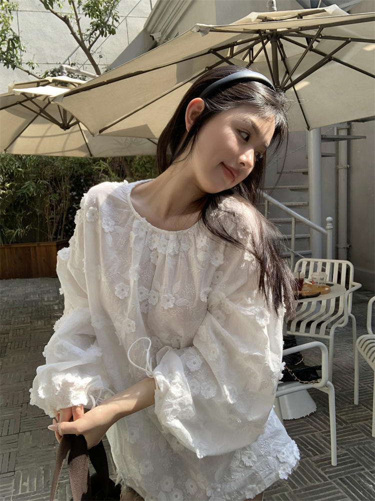 Flowers long sleeve round neck autumn embroidery tops