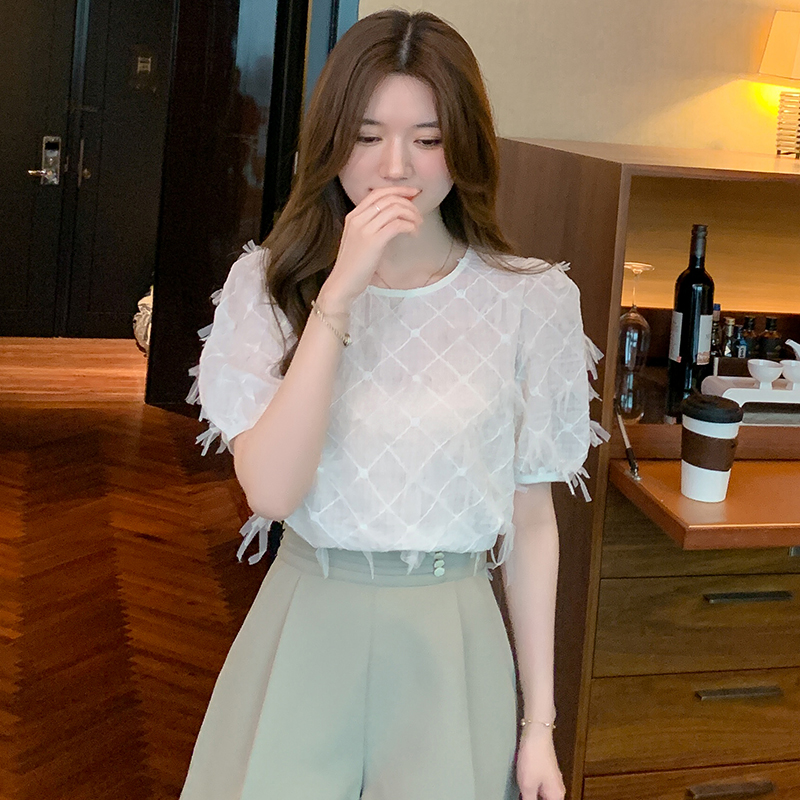 Korean style chiffon shirt tops for women
