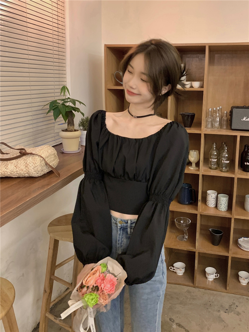 Puff sleeve long sleeve clavicle bow tops for women