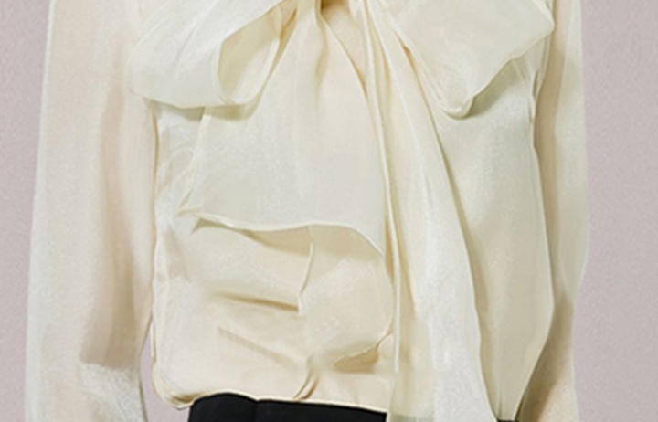 Bow organza chiffon shirt fashion and elegant tops for women