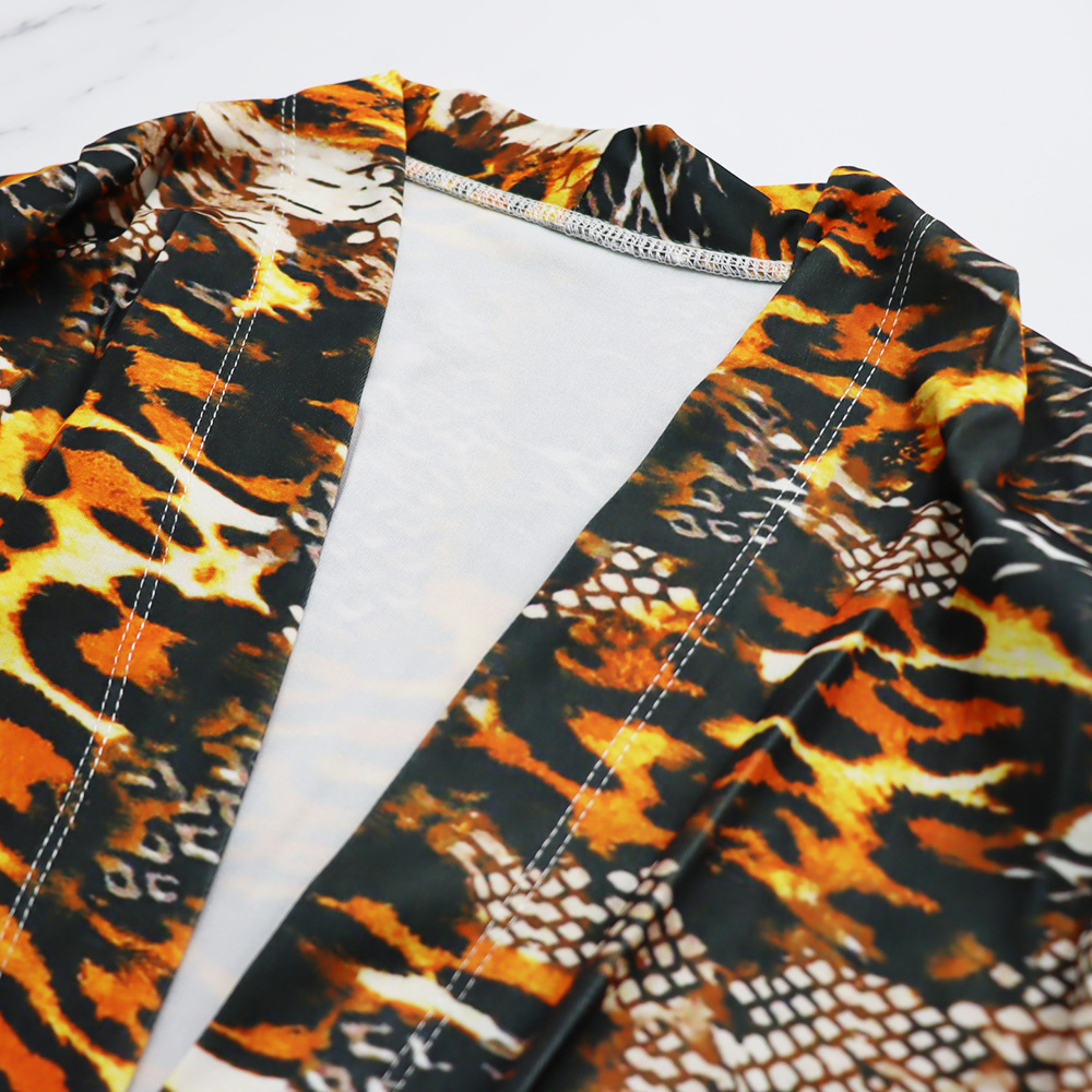Leopard long sleeve V-neck fold dress for women