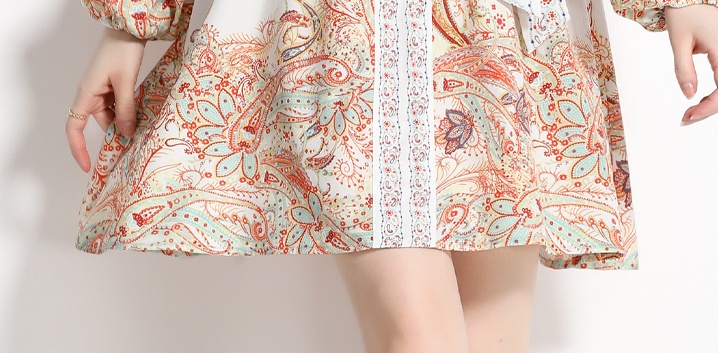 Single-breasted pinched waist bubble printing dress