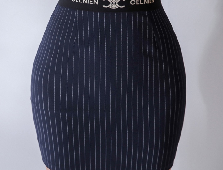 Fashion slim tops stripe skirt 2pcs set for women