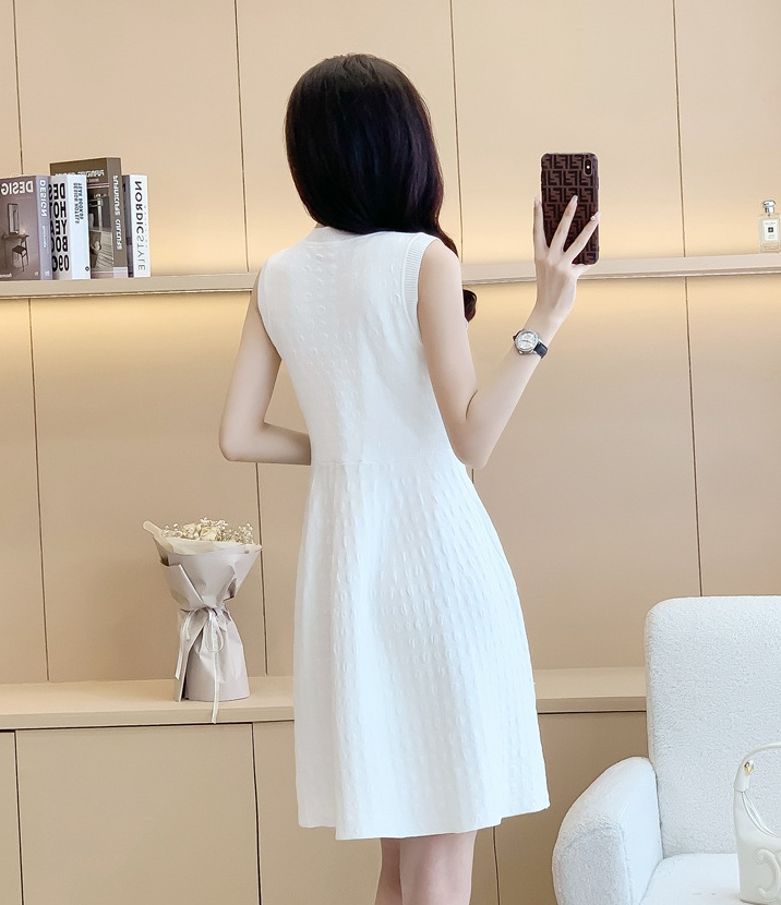 France style fashion and elegant dress for women