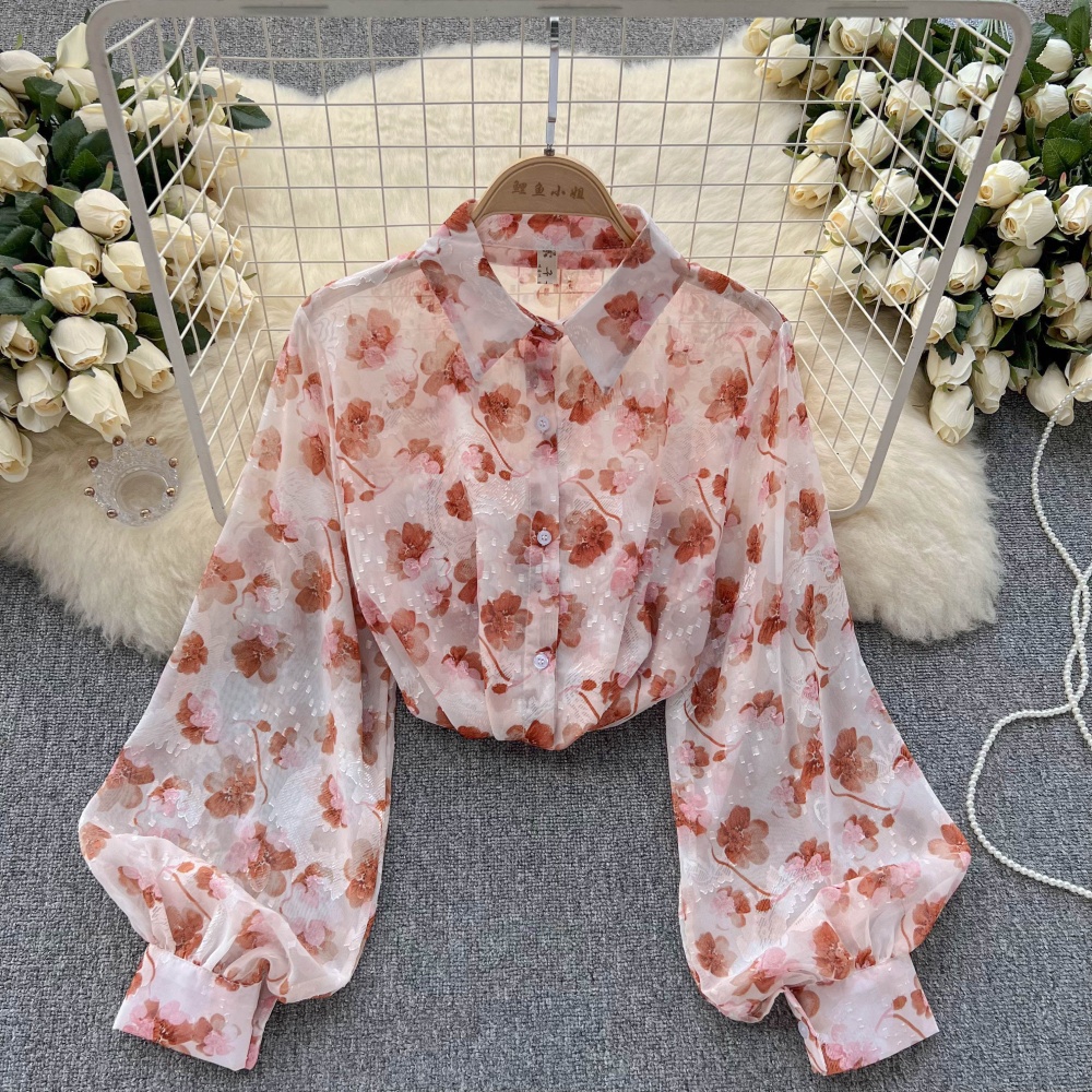 Unique long sleeve shirt chiffon loose tops for women