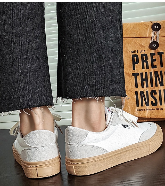 Spring and summer canvas shoes board shoes for men