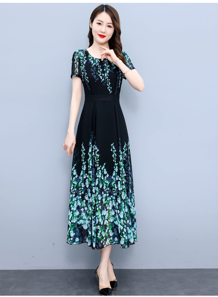 Pinched waist dress printing long dress for women