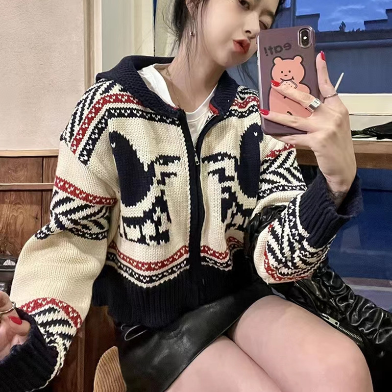Autumn and winter cardigan thick sweater for women