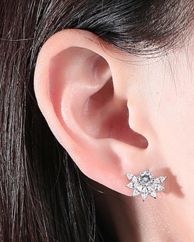 Niche temperament stud earrings zircon earrings for women