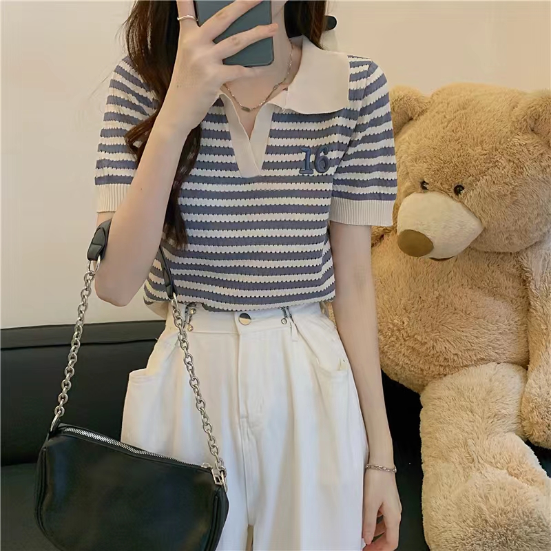 Embroidery Korean style short sleeve knitted tops