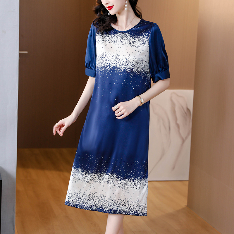 Vacation refinement France style floral dress for women